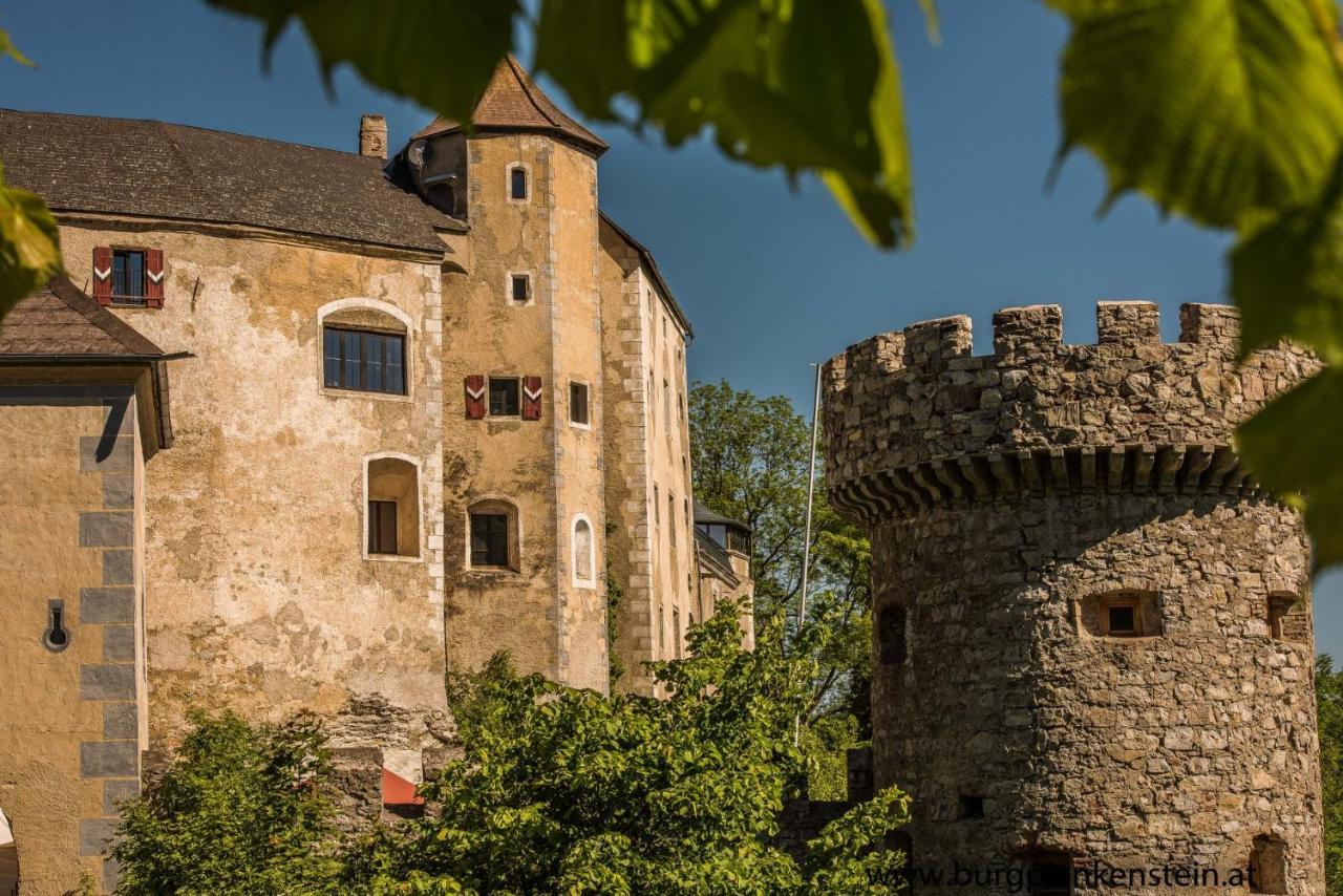 Burg Plankenstein Hotel Texing Buitenkant foto