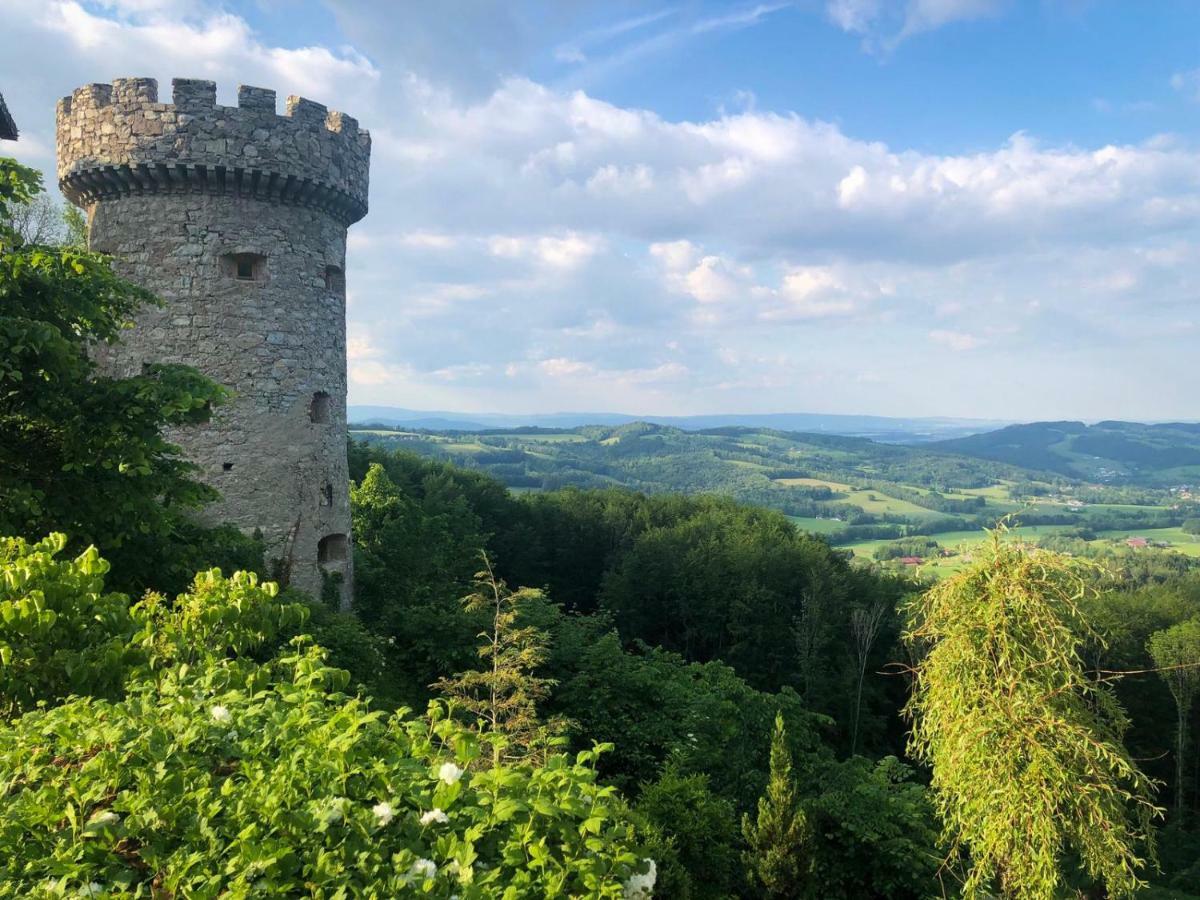 Burg Plankenstein Hotel Texing Buitenkant foto