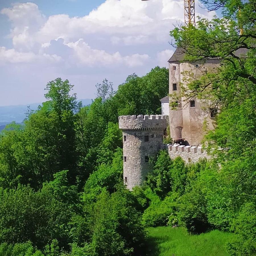 Burg Plankenstein Hotel Texing Buitenkant foto