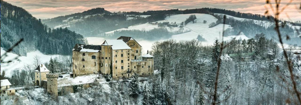 Burg Plankenstein Hotel Texing Buitenkant foto